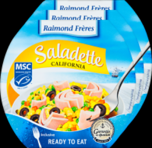 Raimond Frères Saladette California MSC