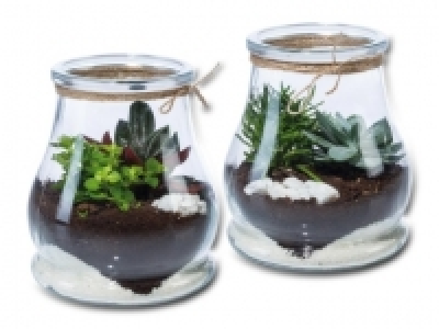 Mini Garten im Glas (ab 4.8.)
