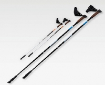 ADVENTURIDGE® Nordic Walking-Stöcke CHF 19.99
