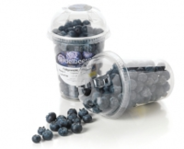 Heidelbeeren CHF 1.99