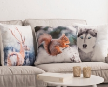 MY LIVING STYLE Dekokissen «Wiesn-Zauber» CHF 9.99
