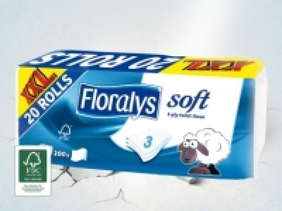Toilettenpapier XXL CHF 5.49
