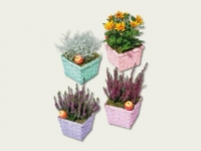Herbst-Flechtkorb (ab 1.9.) CHF 3.99