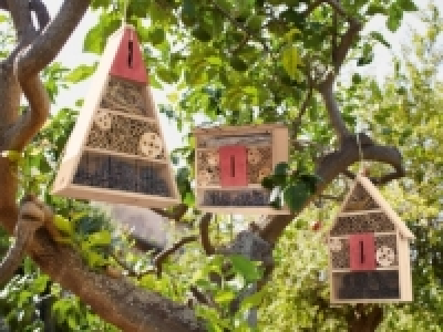 Insektenhotel CHF 12.99