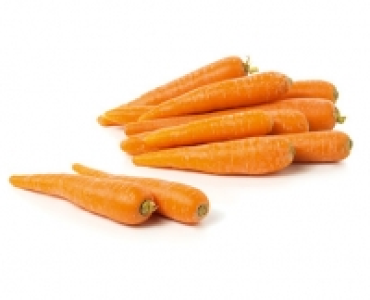 NATURE SUISSE R&uuml;ebli