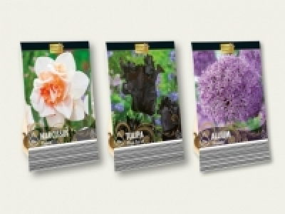 Herbstblumenzwiebeln Premium (ab 19.9.)
