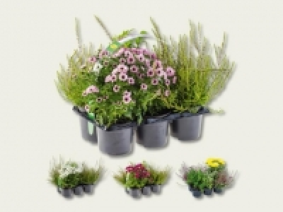 Outdoor-Mix (ab 8.9.) CHF 5.99