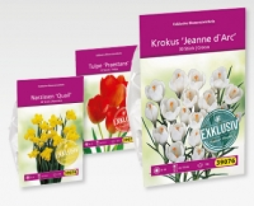 GARDENLINE® Exklusive Blumenzwiebeln CHF 2.99