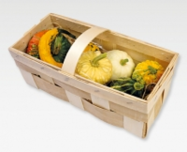 GARDENLINE&reg; Zierkurbisse im Spankorb