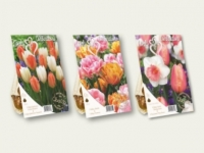 Blumenzwiebeln Mix &laquo;lovely combination&raquo; (ab 19.9.) CHF&nbsp;2.99