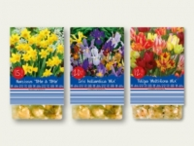 Fr&uuml;hjahrsblumenzwiebeln (ab 19.9.) CHF&nbsp;1.99