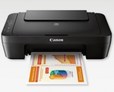 CANON 3 in 1 Drucker PIXMA MG2550s CHF 49.90