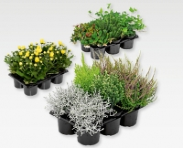 GARDENLINE&reg; Herbstbeet-Mix