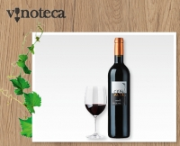 CEPA ALTA Ribera del Duero Crianza DO CHF 9.99