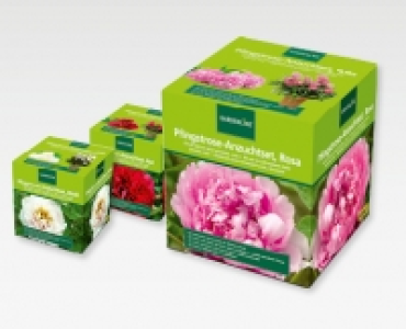 GARDENLINE&reg; Pfingstrosen Anzucht-Set
