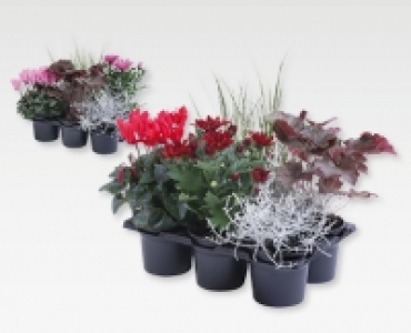 GARDENLINE&reg; Bunter Herbst