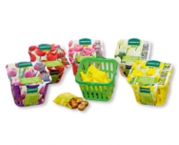 GARDENLINE® Blumenzwiebeln CHF 6.99