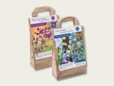 Blumenzwiebeln &laquo;Biene & Schmetterling&raquo; (ab 26.9.) CHF&nbsp;3.99