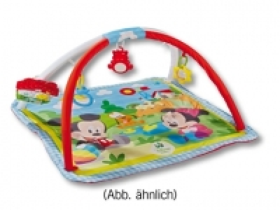 Baby Play Gym