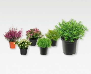 Herbstzeit CHF 1.99