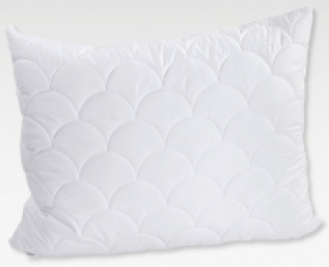MY LIVING STYLE Kissen «Aloe Vera» CHF 14.99