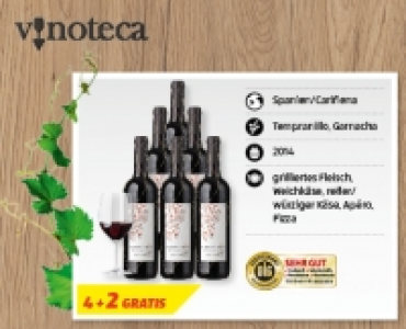 FLOR DE NIEVE Tinto Joven DO