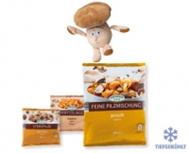 GARTENKRONE Waldpilze