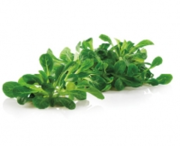 Nusslisalat CHF 1.99
