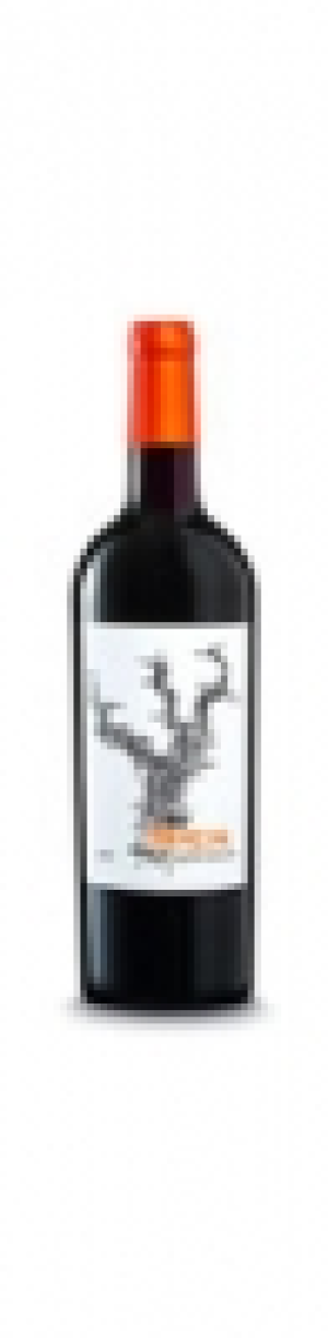 Zinfandel Lodi Brazin 2012 CHF 87.00