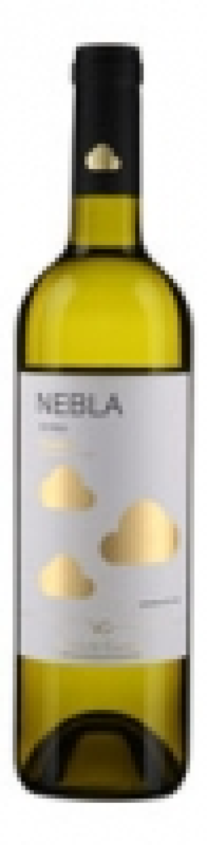 Rueda DO Nebla Verdejo 2015 CHF&nbsp;8.95