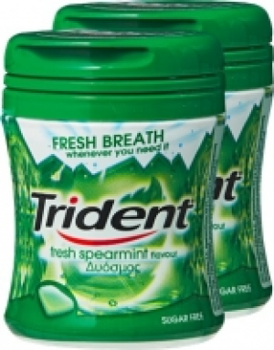 Trident Bottle Fresh Spearmint