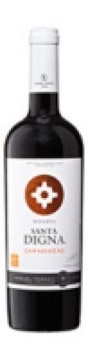 Carmenère Reserva Santa Digna Torres 2014 CHF 56.10
