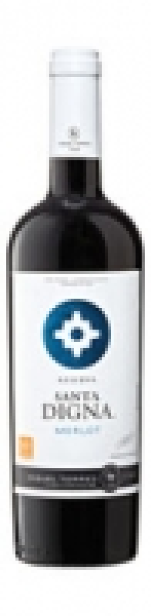 Merlot Reserva Santa Digna Torres 2014