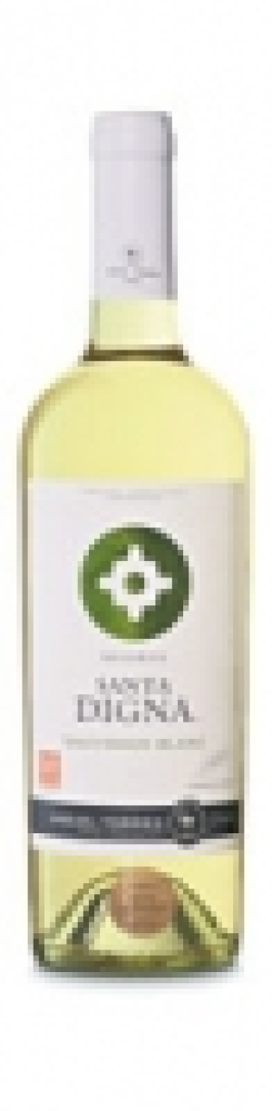 Sauvignon Blanc Reserva Santa Digna Torres 2015