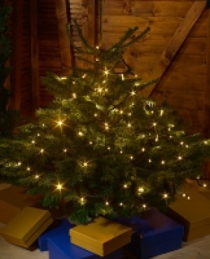 LED Lichterkette CHF 26.70