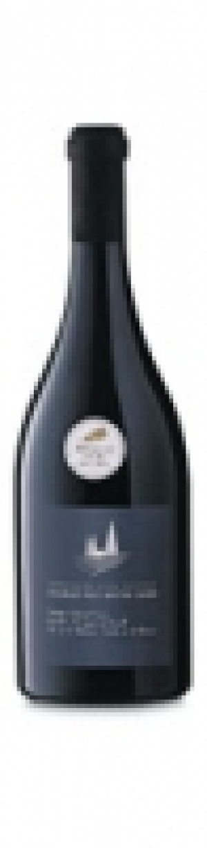 Saumur-Puy-Notre-Dame AOC Domaine du Vieux Pressoir 2014 CHF 71.70