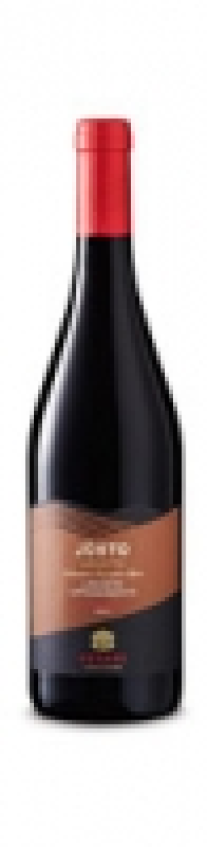 Venezie IGT Jùsto Cesari 2013 CHF 8.75