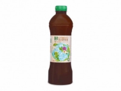 Ice tea bio