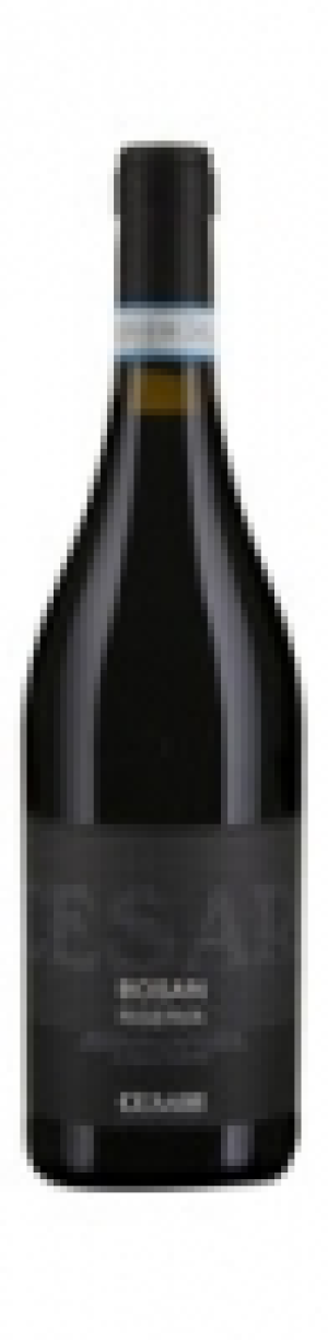 Amarone della Valpolicella Bosan Cesari DOC 2009 CHF 35.95