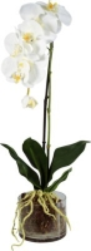 Kunstblume Phalaenopsis CHF&nbsp;31.90