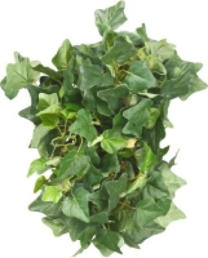 Kunstpflanze Efeu Girlande CHF&nbsp;13.50