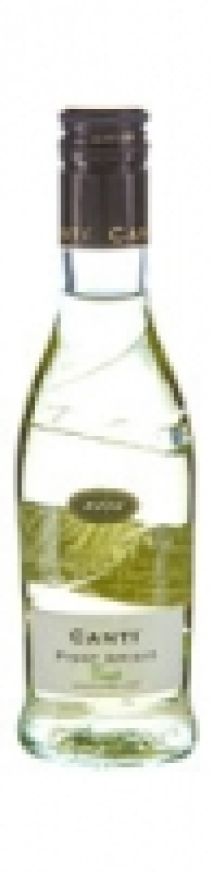 Pinot Grigio Canti Veneto 2014