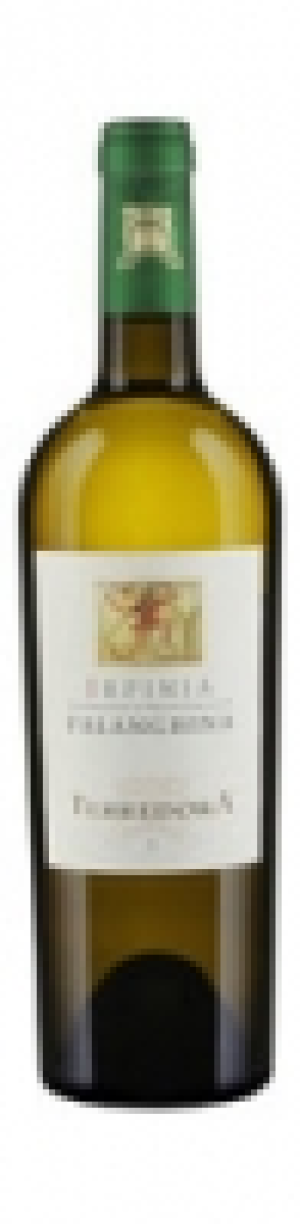 Falanghina Irpina DOC Terredora 2015 CHF&nbsp;9.95