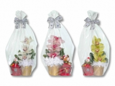 Orchideen 3er-Gesteck in Weihnachtsfigur