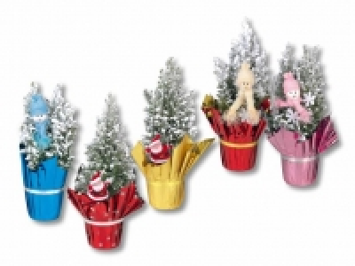 Ellwoodii mit Schnee CHF 2.99