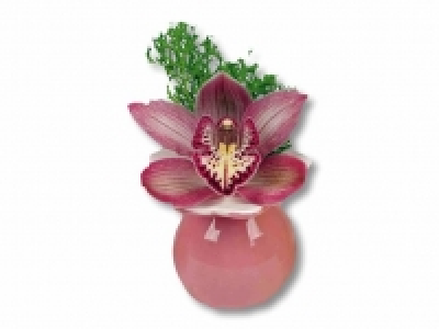 Cymbidiumblüte in Sternvase