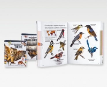 Bildwörterbuch/-lexikon CHF 9.99