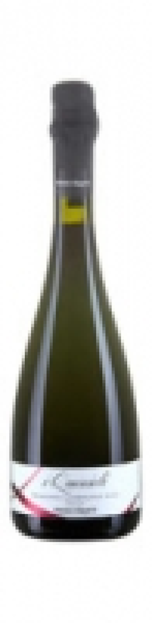 Reggiano Lambrusco Medici Ermete Frizzante Dolce 2012 CHF 4.95