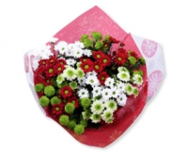 Santinistrauss CHF 12.99