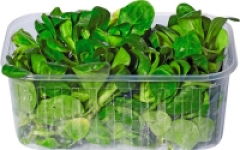Nüsslisalat CHF 2.29